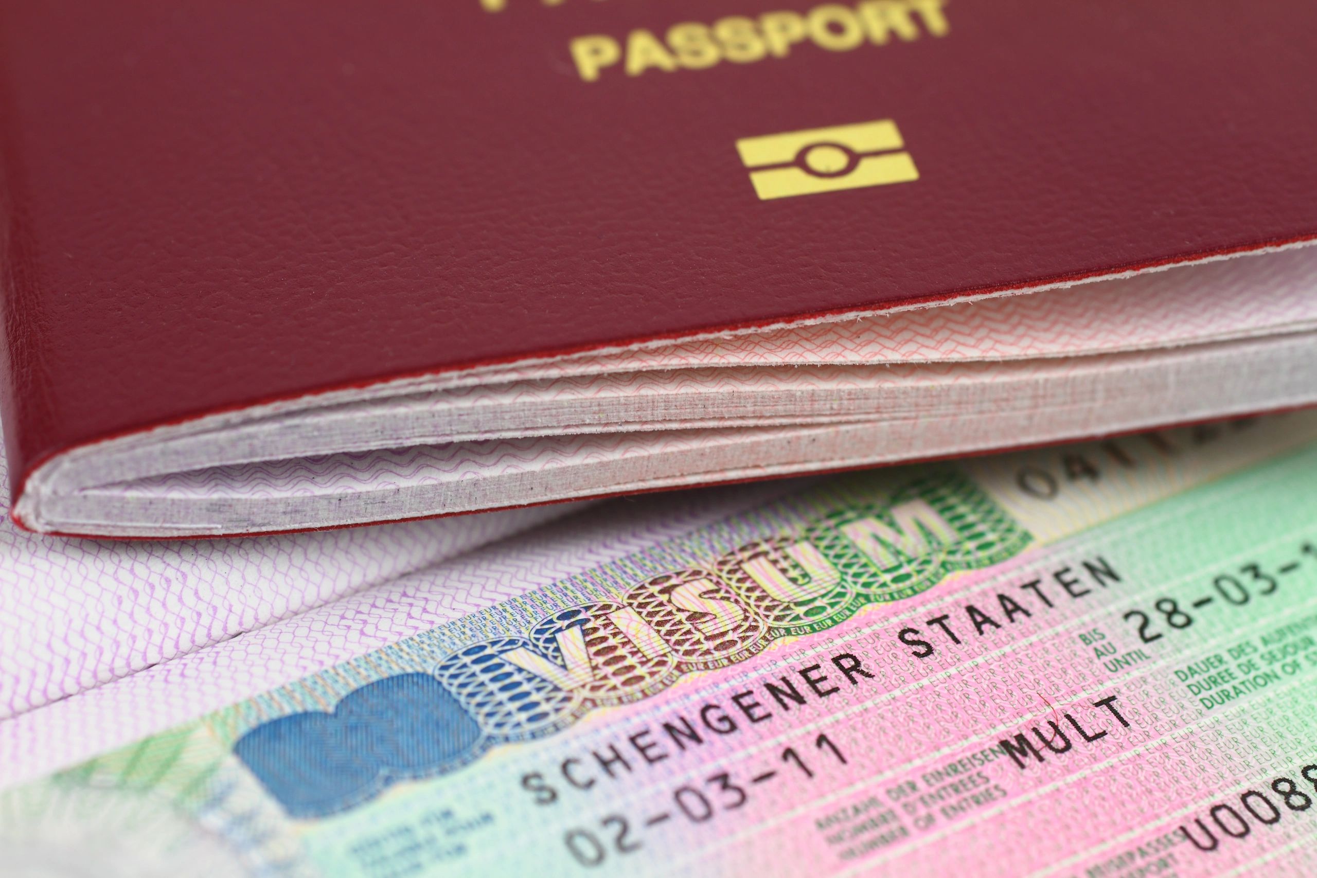 Passport and visa documents reflecting global representation and business immigration