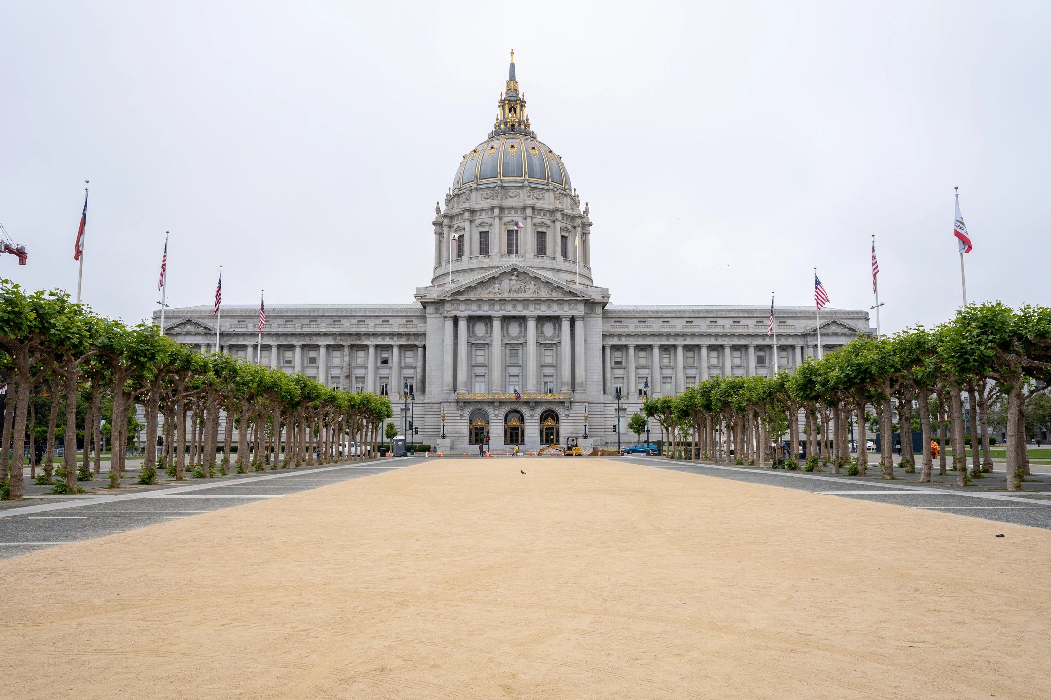 Premium civic architecture background