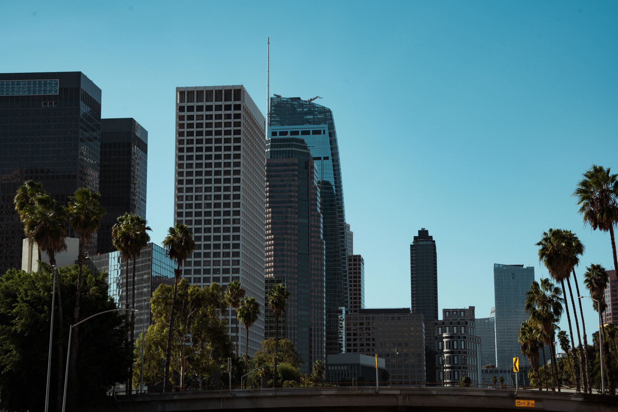 Los Angeles skyline with palm trees and clear blue sky on a sunny day
